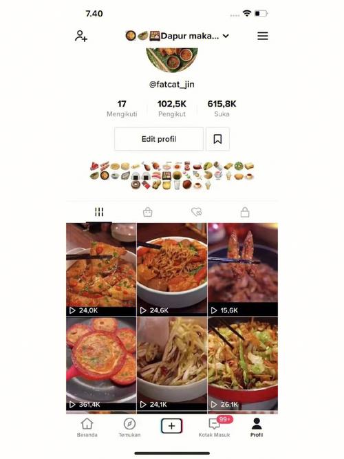 TikTok刷粉精灵,标题:揭秘TikTok刷粉精灵:从神秘到真相!
