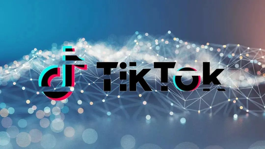 TikTok手动刷粉,标题:揭秘 TikTok 手动刷粉:一项合法却有利可图的业务!
