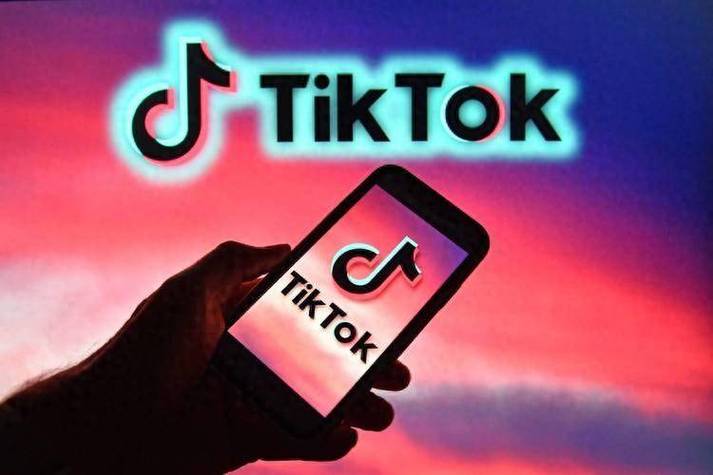 TikTok刷粉活粉,TikTok刷粉活粉:打造完美社交媒体形象的秘密武器!