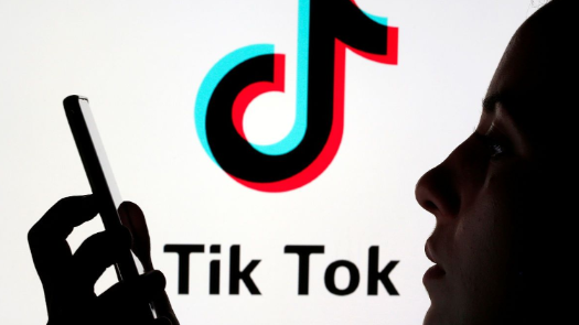 TikTok刷凑数粉,标题:理智看待TikTok刷凑数粉现象!