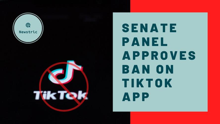 TikTok刷粉社区,标题:揭秘 TikTok 刷粉社区:黑产背后的流量操纵!