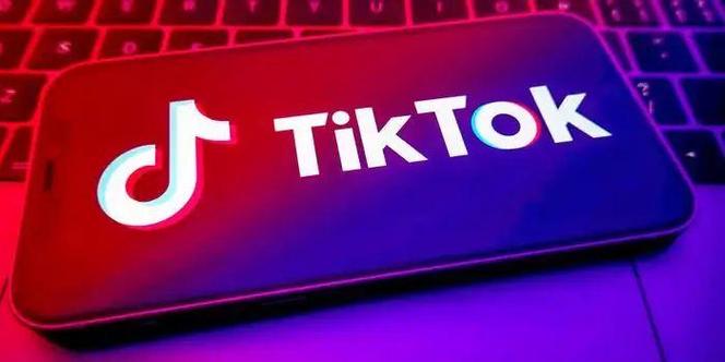 抖音国际TikTok人工粉代刷,标题:揭秘抖音国际TikTok人工粉代刷:风险与利益的权衡!