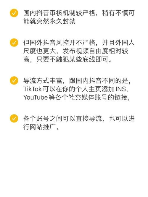 抖音国际TikTok人工粉代刷,标题:揭秘抖音国际TikTok人工粉代刷:风险与利益的权衡!