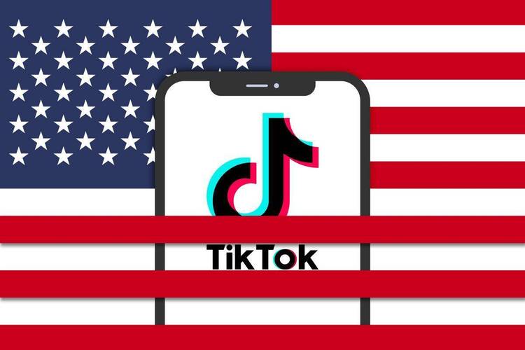 TikTok刷粉全网,TikTok刷粉全网:揭秘真相,带你探索无限可能!