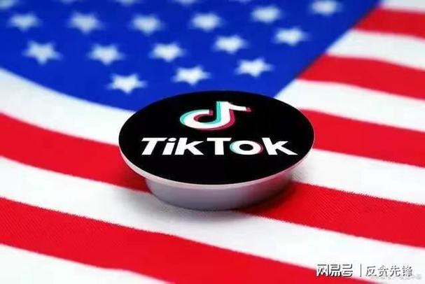 米勒TikTok刷粉,标题:米勒TikTok刷粉:揭示背后的秘密与风险!