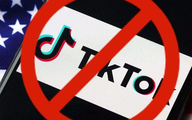 米勒TikTok刷粉,标题:米勒TikTok刷粉:揭示背后的秘密与风险!