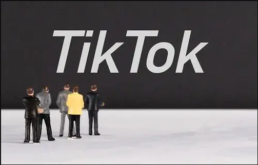 TikTok刷粉TikTok刷粉gwanpk,TikTok刷粉:揭秘背后的真相与风险!