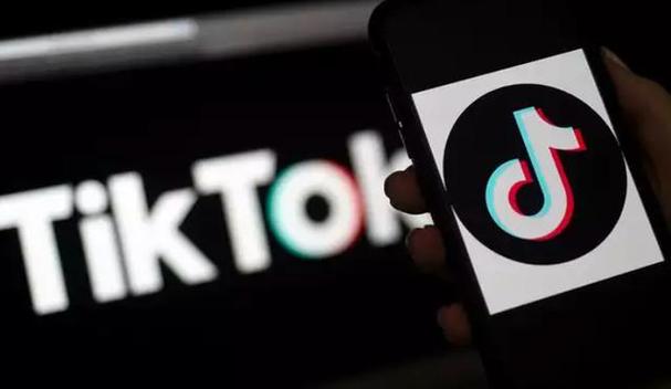 抖音国际TikTok买死粉直播,抖音国际TikTok买死粉直播:背后的风险与应对策略!