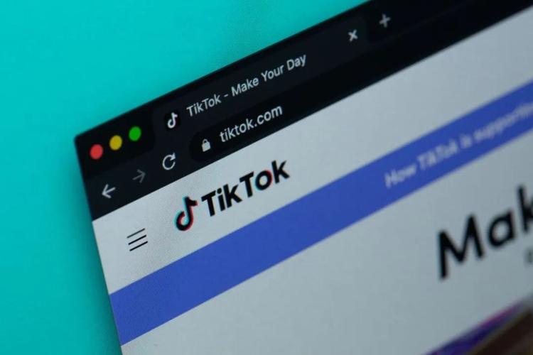 TikTok买100粉关注,TikTok买100粉关注:揭秘背后的真相与影响!