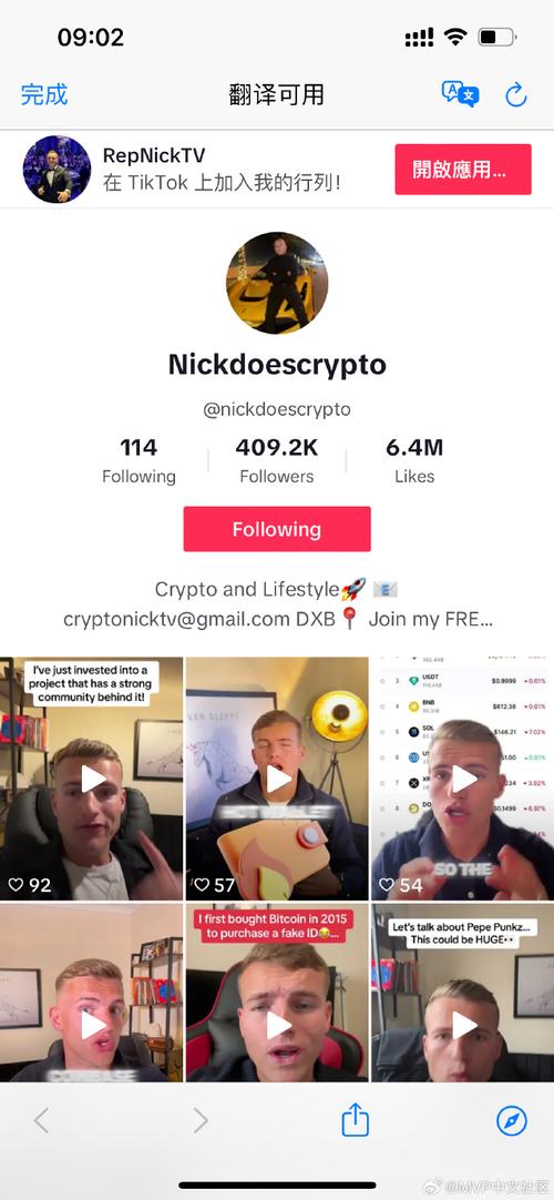 TikTok刷赞刷粉软