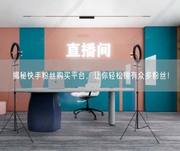 揭秘快手粉丝购买平台，让你轻松拥有众多粉丝！