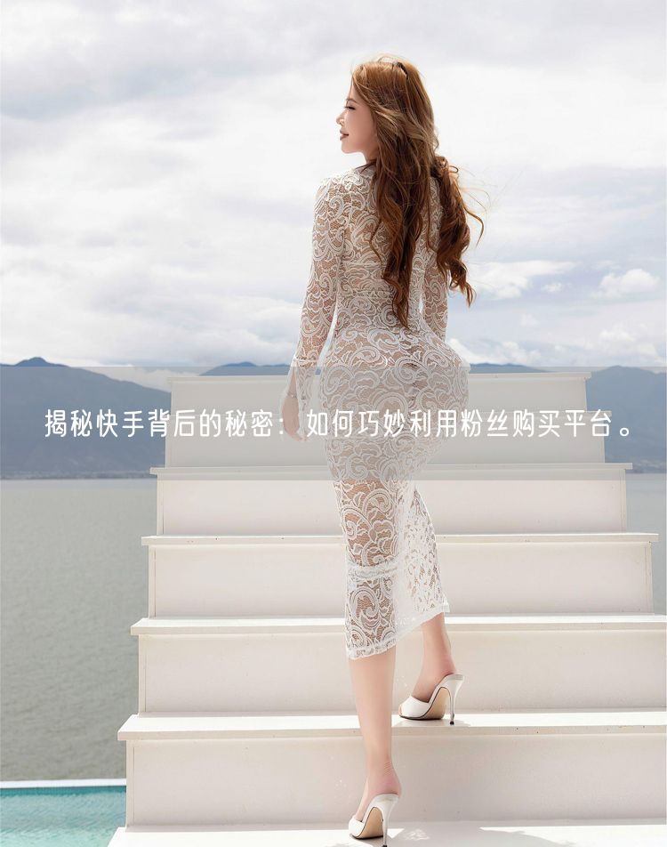 揭秘快手背后的秘密：如何巧妙利用粉丝购买平台。