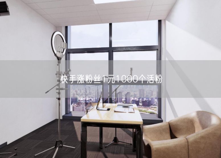 快手涨粉丝1元1000个活粉