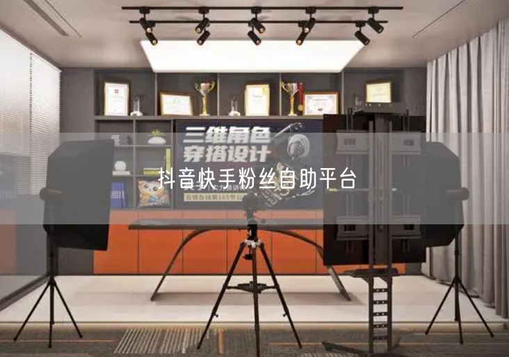 抖音快手粉丝自助平台