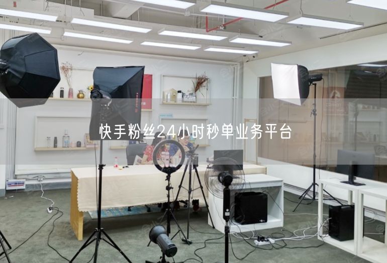 快手粉丝24小时秒单业务平台